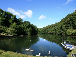 Pont Quay Cottage sleeps 6