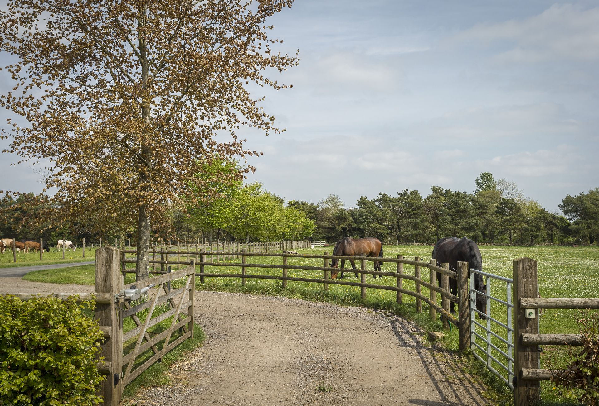 Alysas Cottage is located in Chipping Norton