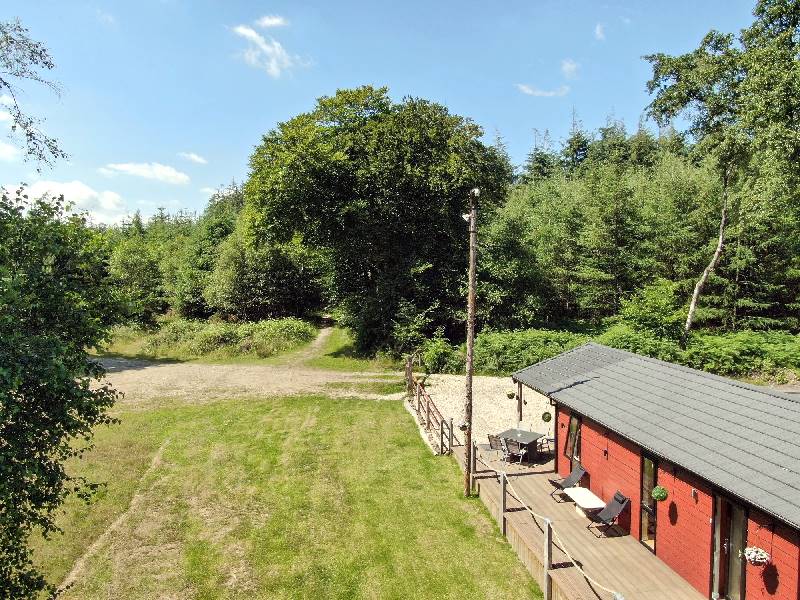 Haldon Forest Lodge is in Exeter, Devon