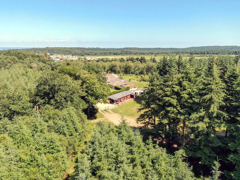 Haldon Forest Lodge sleeps 6