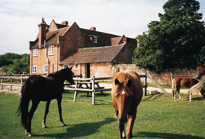 Royden Manor Annexe is located in Brockenhurst