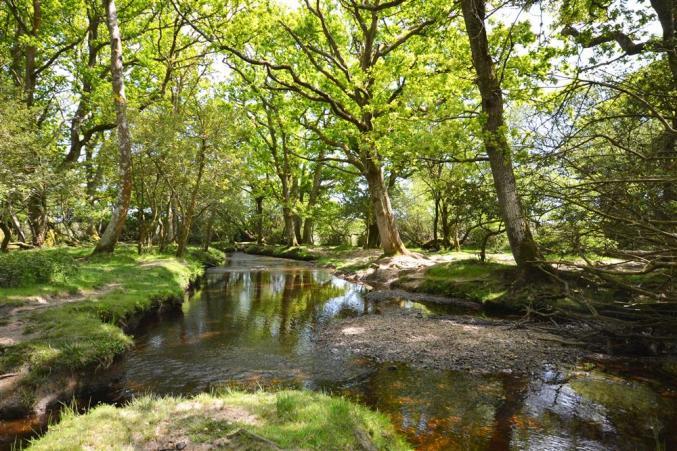 Cottage holidays England - Robeen