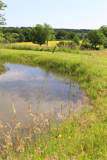 Oakley At Oaklands is in Brook, Hampshire