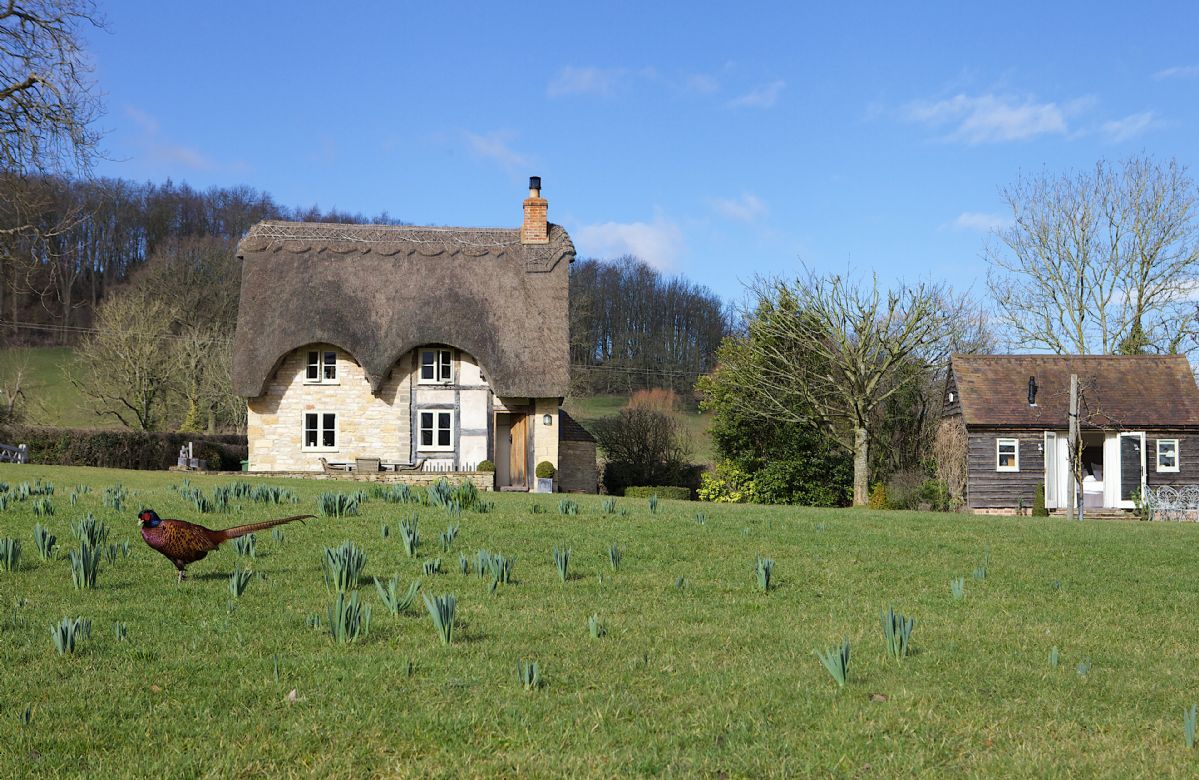 Field Cottage