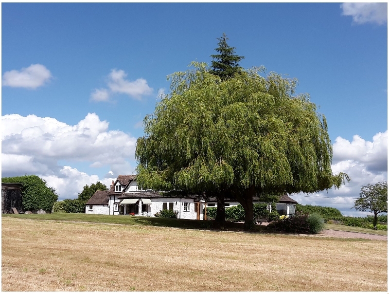 The Cottage