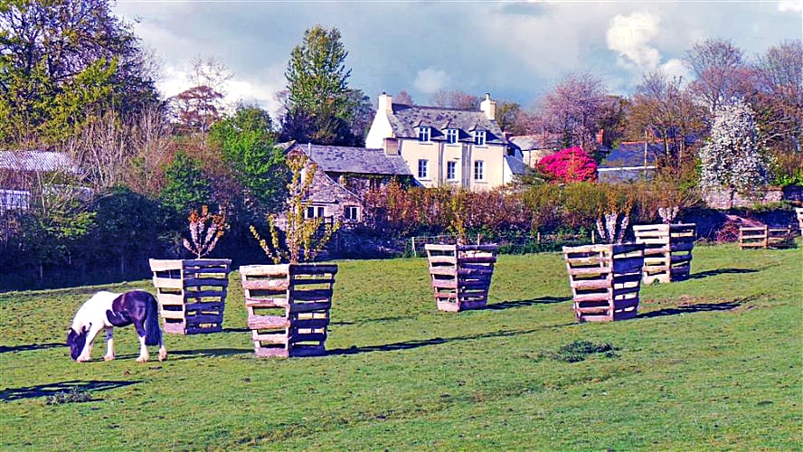 Comfort Wood Cottage Holiday Cottage