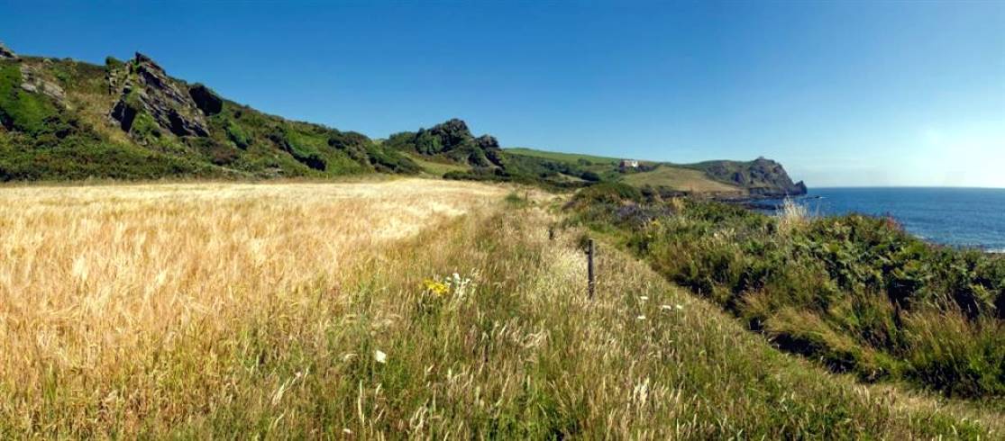 Stable Barn Cottage is in East Prawle, Devon