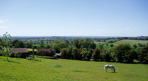 Image of The Stables