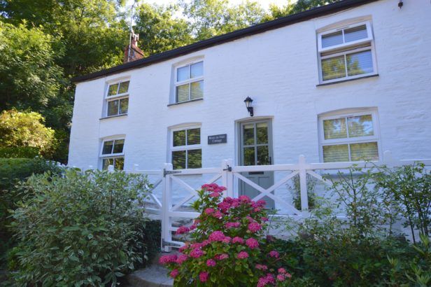 Image of Rose in Vale Cottage