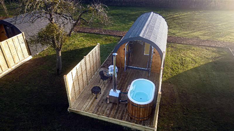 Image of Honeycrisp, Apple Tree Glamping