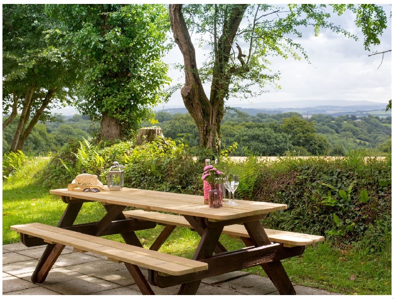 Image of Dartmoor View