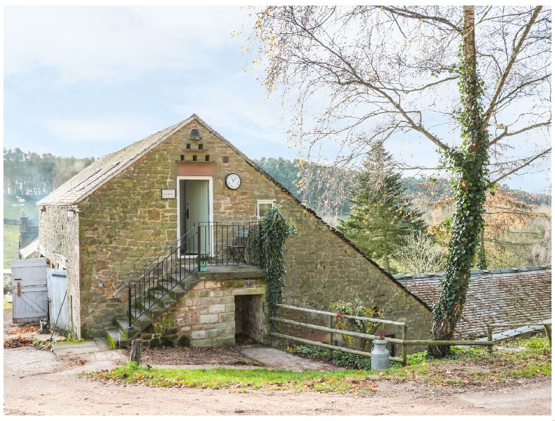 Image of The Ivy Barn