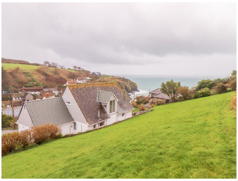 Image of Spinnaker- Cadgwith