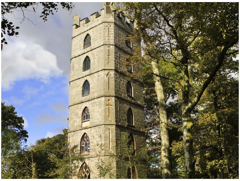 Image of Brynkir Tower