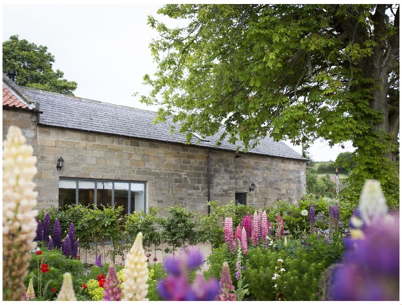 Image of Chestnut Barn