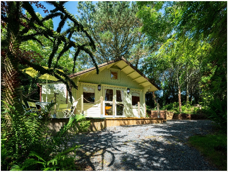 Image of Woodland Cabin