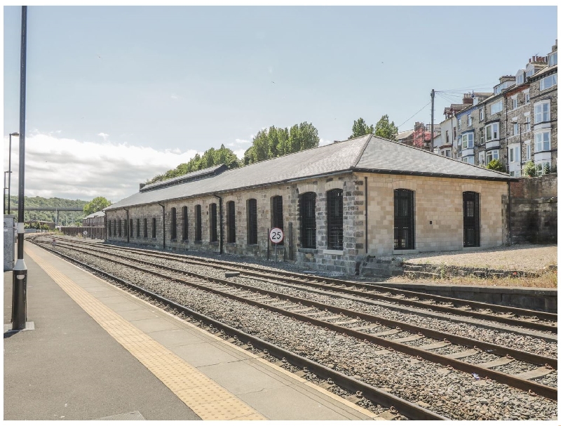 Image of Mallard @ Engine Shed