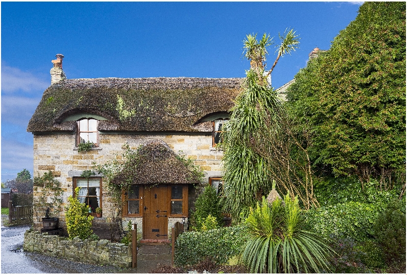 Image of Sunnybank Thatch