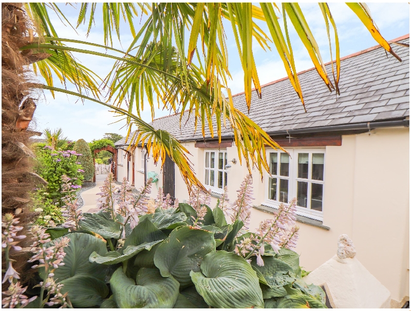 Image of Meadowview Cottage