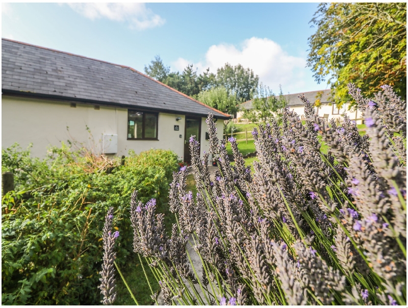 Image of Hazel Cottage