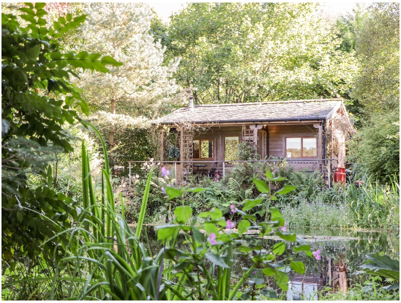 Image of The Log Cabin