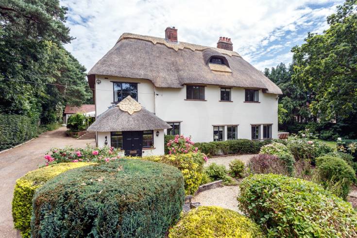 Image of Thatchby Oak