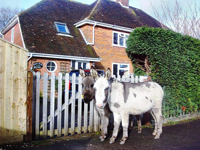 Image of Angel Valley Cottage